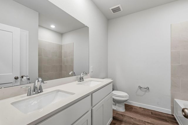 29222 Dandelion Sky Drive, Waller, TX 77484