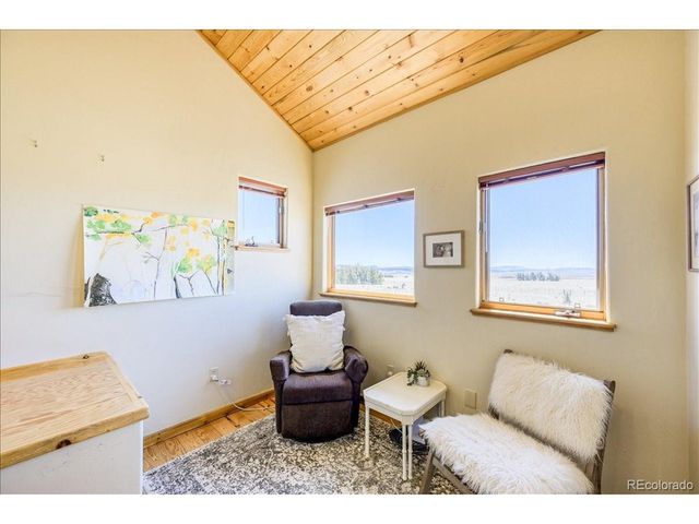 2567 Coil Dr, Fairplay, CO 80440