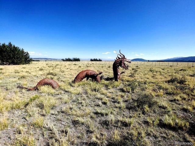 2567 Coil Dr, Fairplay, CO 80440