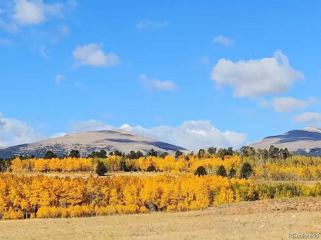 2567 Coil Dr, Fairplay, CO 80440