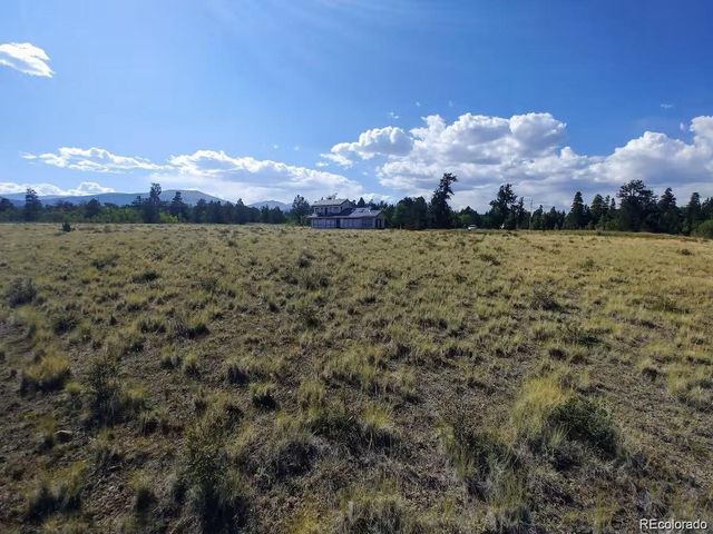 2567 Coil Dr, Fairplay, CO 80440