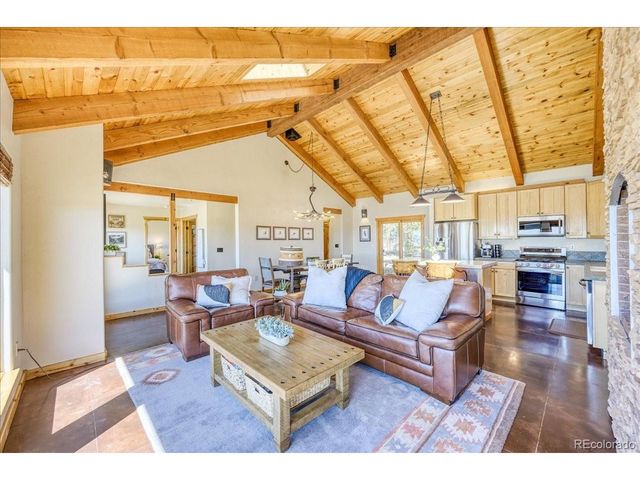 2567 Coil Dr, Fairplay, CO 80440