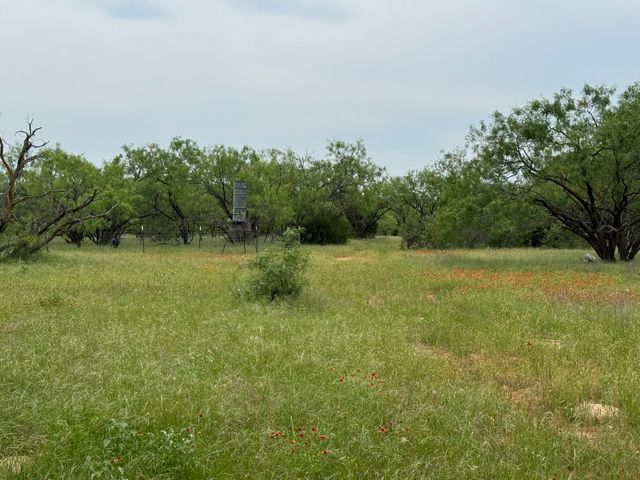 12550 County Road 136, Breckenridge, TX 76470