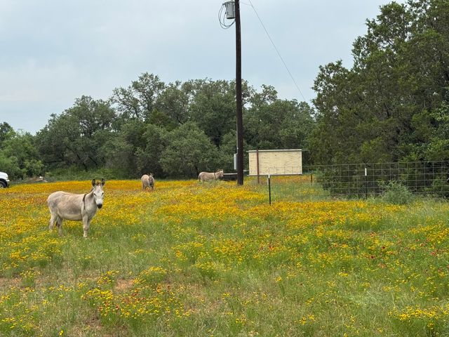 12550 County Road 136, Breckenridge, TX 76470