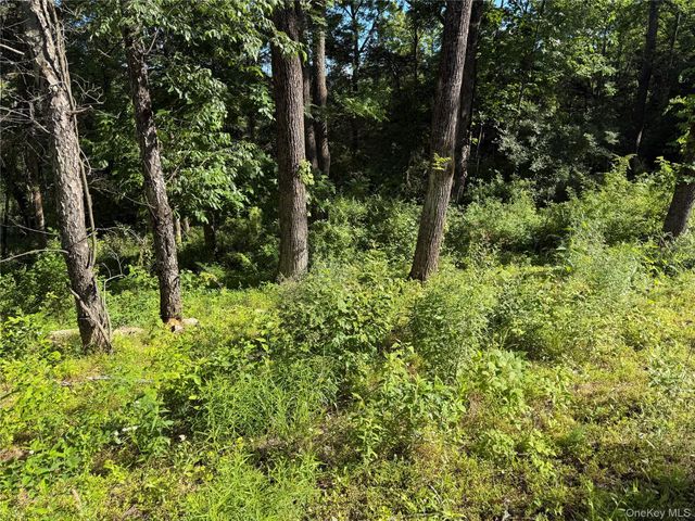 5 Walnut Hill Road, Warwick, NY 10990