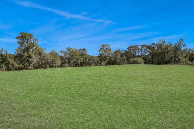 240 Rosalie Street, Shepherd, TX 77371