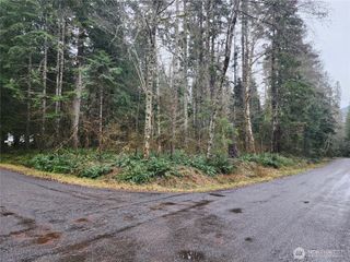 56519 380 Avenue Ct E, Ashford, WA 98304