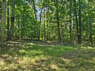 0 Gladys Road, Altavista, VA 24517