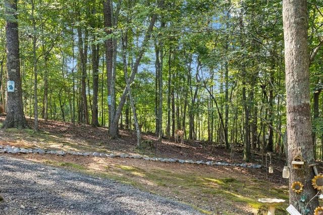 289 Cypress Circle, Ellijay, GA 30540