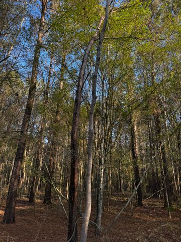 0 Beech Hill Road, Summerville, SC 29485
