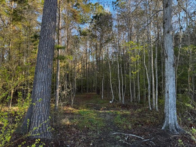 0 Beech Hill Road, Summerville, SC 29485