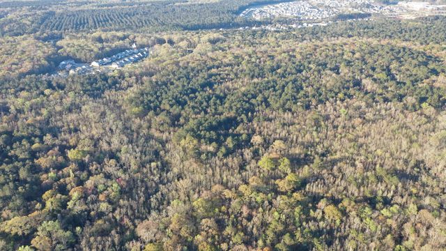 0 Beech Hill Road, Summerville, SC 29485