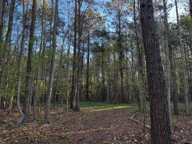 0 Beech Hill Road, Summerville, SC 29485