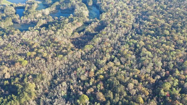 0 Beech Hill Road, Summerville, SC 29485