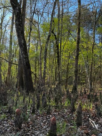 0 Beech Hill Road, Summerville, SC 29485