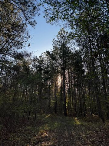 0 Beech Hill Road, Summerville, SC 29485