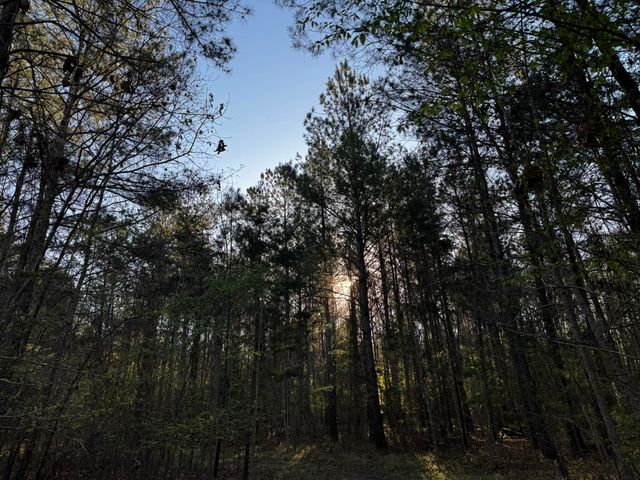 0 Beech Hill Road, Summerville, SC 29485
