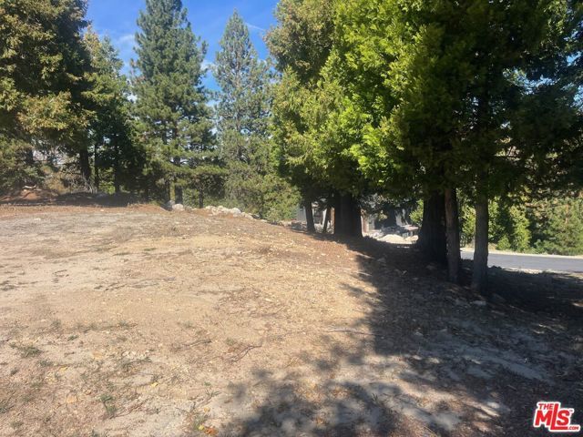 188 Mill Pond Road, Lake Arrowhead, CA 92352