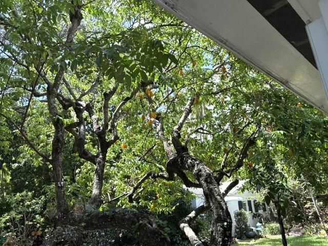 41 SW 5TH Street, Dania Beach, FL 33004