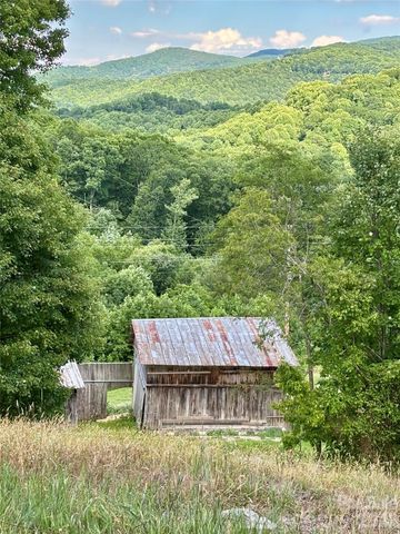 244 Flat Springs Road, Elk Park, NC 28622
