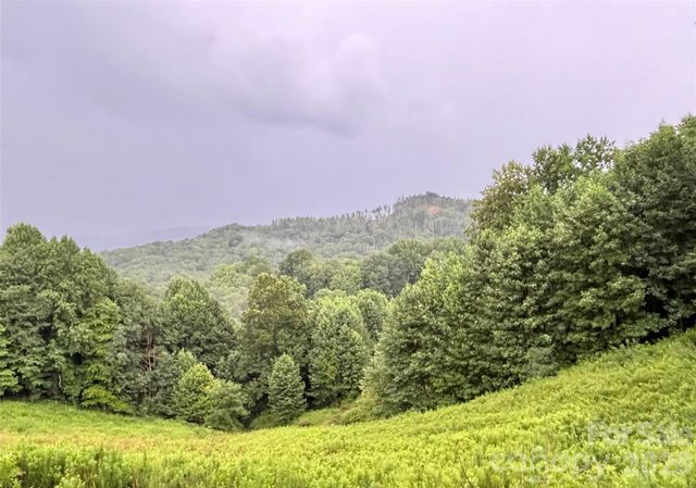 244 Flat Springs Road, Elk Park, NC 28622