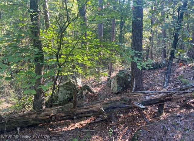 TBD Hoppers Pass, Wister, OK 74966