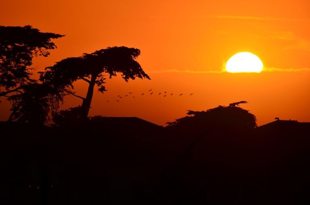 2785 Telegraph Boulevard, Marina, CA 93933