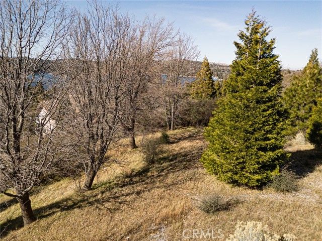 137 Mill Pond Road, Lake Arrowhead, CA 92352