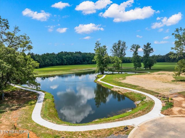 206 Zion Cove Lane, Englewood, TN 37329