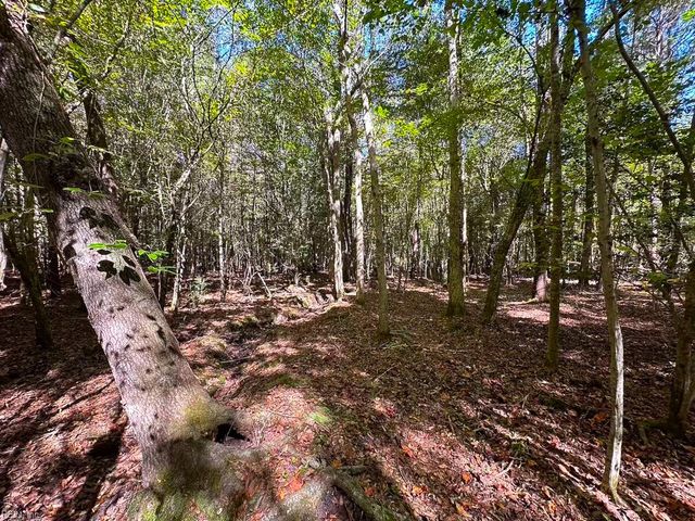 45.5 Acres Cypress Chapel RD, Suffolk, VA 23434