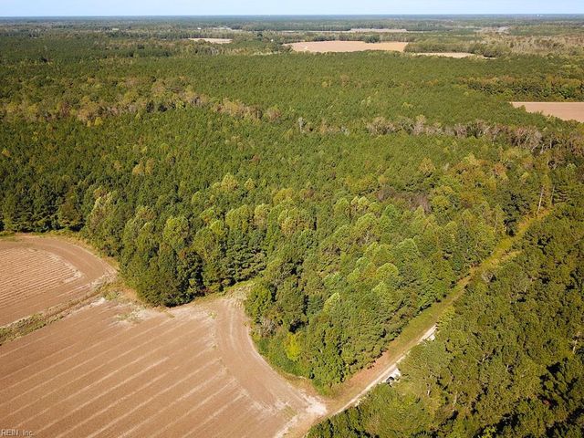 45.5 Acres Cypress Chapel RD, Suffolk, VA 23434