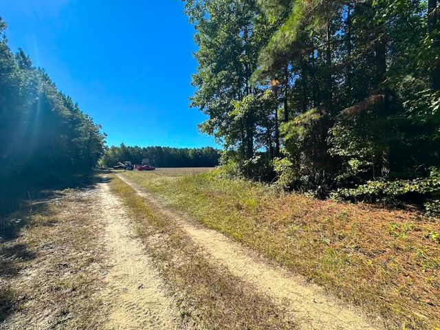 45.5 Acres Cypress Chapel RD, Suffolk, VA 23434