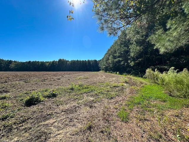 45.5 Acres Cypress Chapel RD, Suffolk, VA 23434