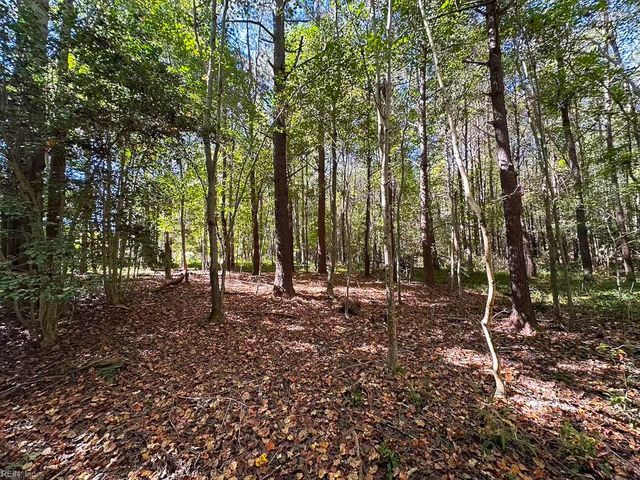 45.5 Acres Cypress Chapel RD, Suffolk, VA 23434