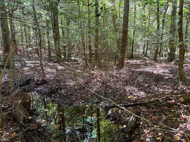 45.5 Acres Cypress Chapel RD, Suffolk, VA 23434
