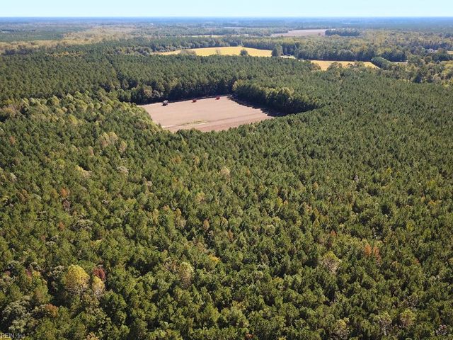 45.5 Acres Cypress Chapel RD, Suffolk, VA 23434