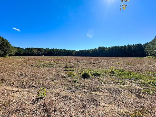 45.5 Acres Cypress Chapel RD, Suffolk, VA 23434