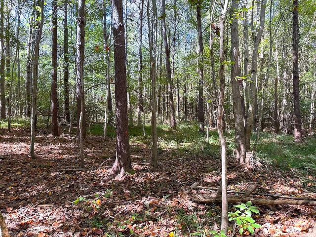 45.5 Acres Cypress Chapel RD, Suffolk, VA 23434