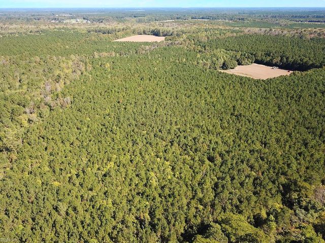 45.5 Acres Cypress Chapel RD, Suffolk, VA 23434