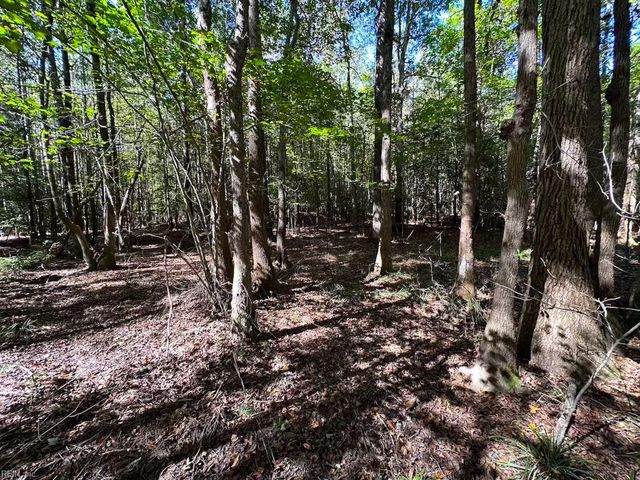 45.5 Acres Cypress Chapel RD, Suffolk, VA 23434