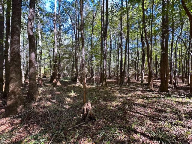 45.5 Acres Cypress Chapel RD, Suffolk, VA 23434