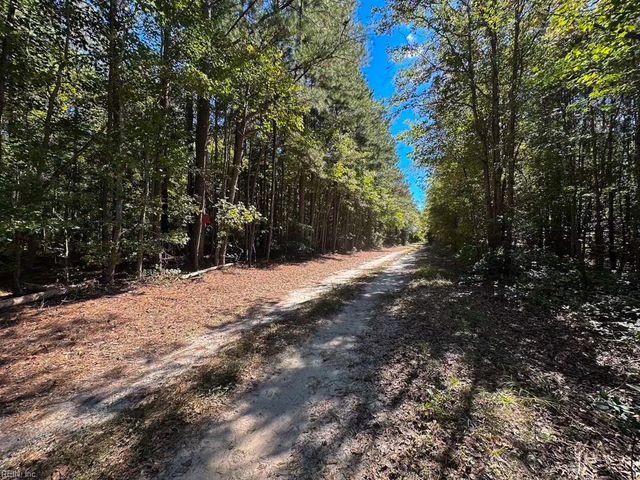 45.5 Acres Cypress Chapel RD, Suffolk, VA 23434