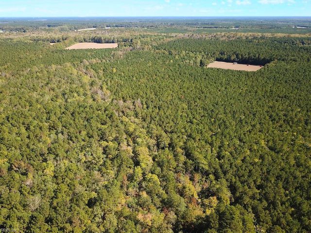 45.5 Acres Cypress Chapel RD, Suffolk, VA 23434