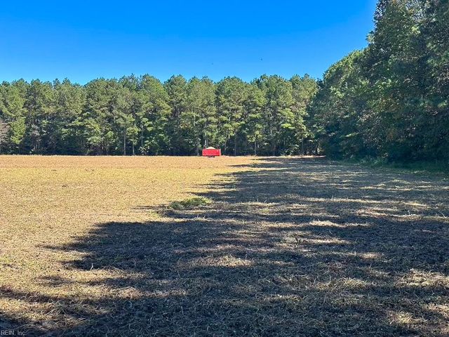 45.5 Acres Cypress Chapel RD, Suffolk, VA 23434