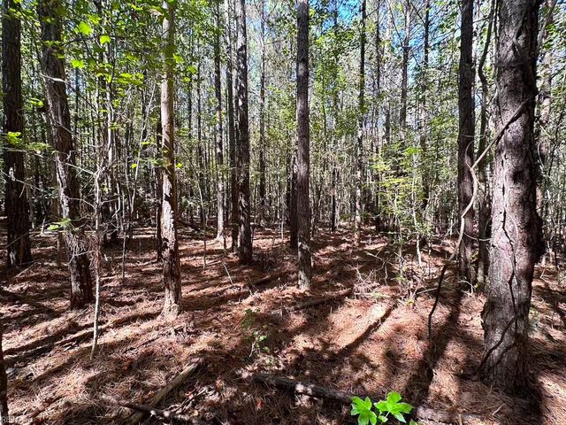 45.5 Acres Cypress Chapel RD, Suffolk, VA 23434