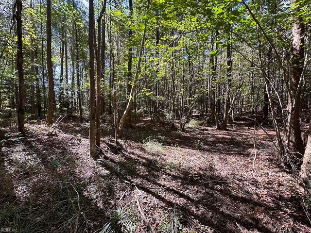 45.5 Acres Cypress Chapel RD, Suffolk, VA 23434