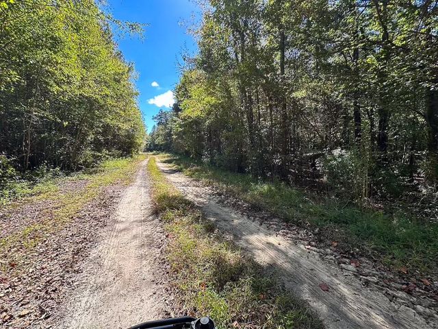 45.5 Acres Cypress Chapel RD, Suffolk, VA 23434