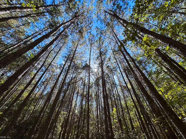 45.5 Acres Cypress Chapel RD, Suffolk, VA 23434