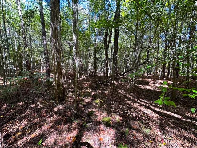 45.5 Acres Cypress Chapel RD, Suffolk, VA 23434