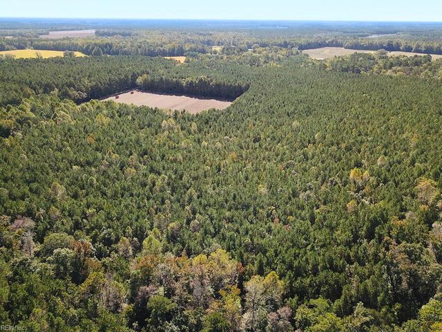 45.5 Acres Cypress Chapel RD, Suffolk, VA 23434